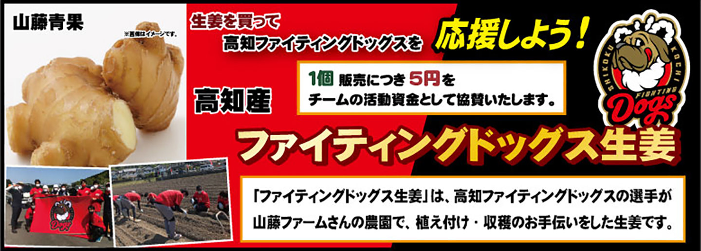ファイティングドッグス生姜