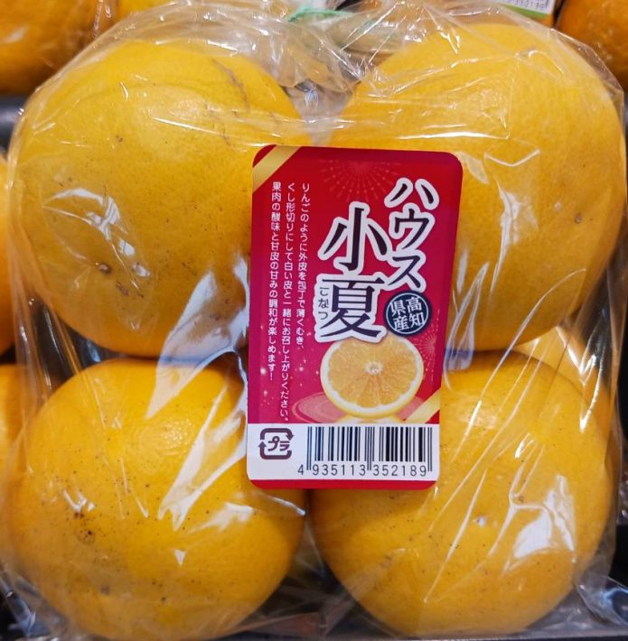 202504ラジオ紹介品③